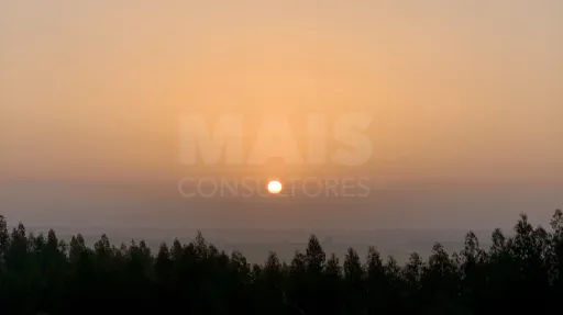 Herdade  com 40,85 hectares em São Bartolomeu da Serra, Santiago do Cacém