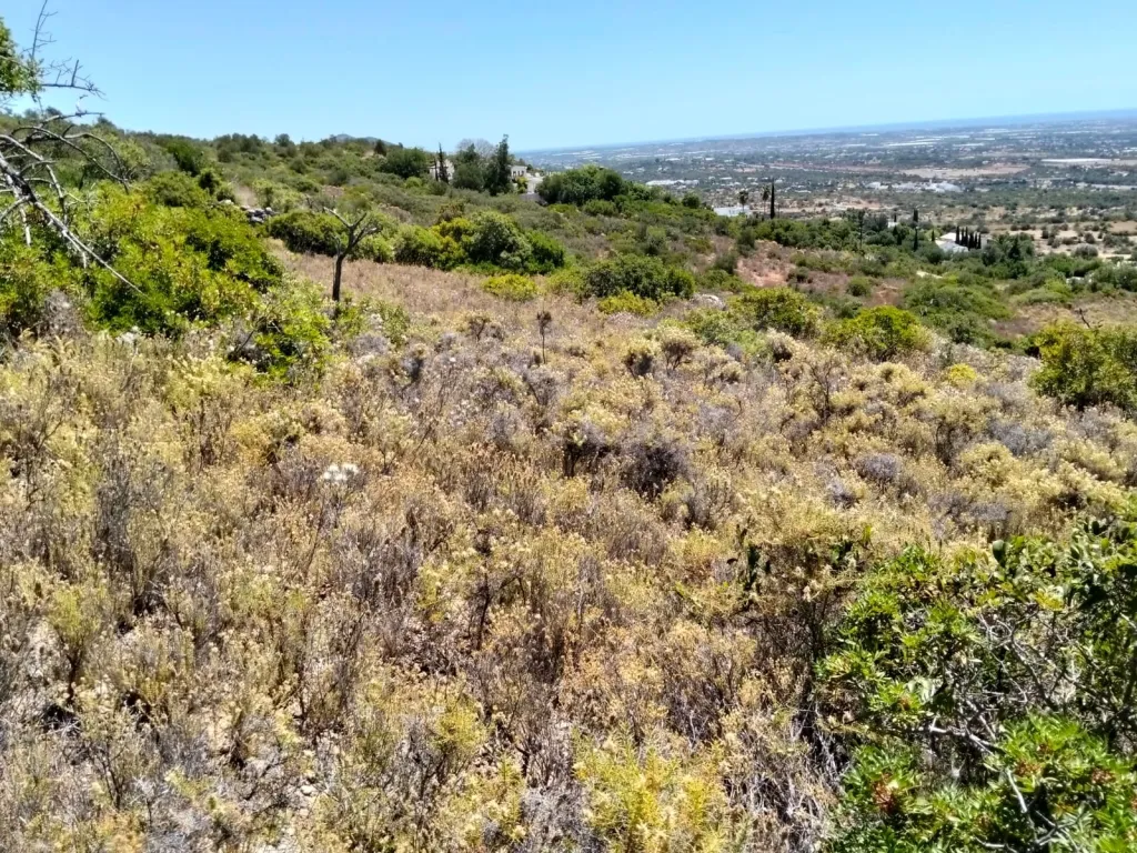 Terreno Rústico com vista mar em Santa Bárbara de Nexe