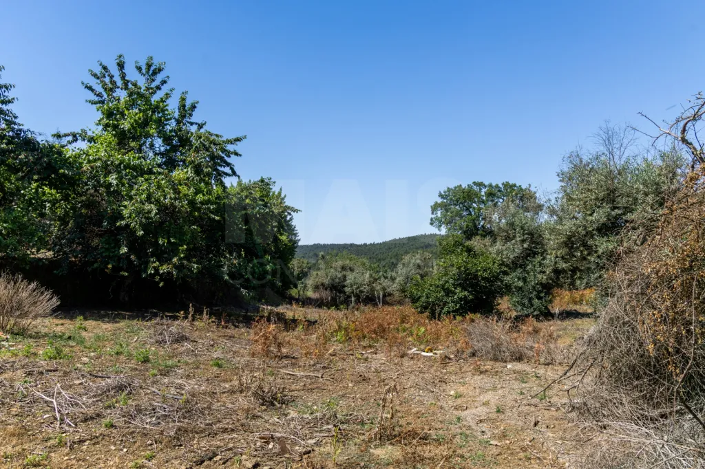 PROPRIEDADE DE CARÁTER NA N2 | 400 m² DE CONSTRUÇÃO, OLIVAL E POTENCIAL TURÍSTICO