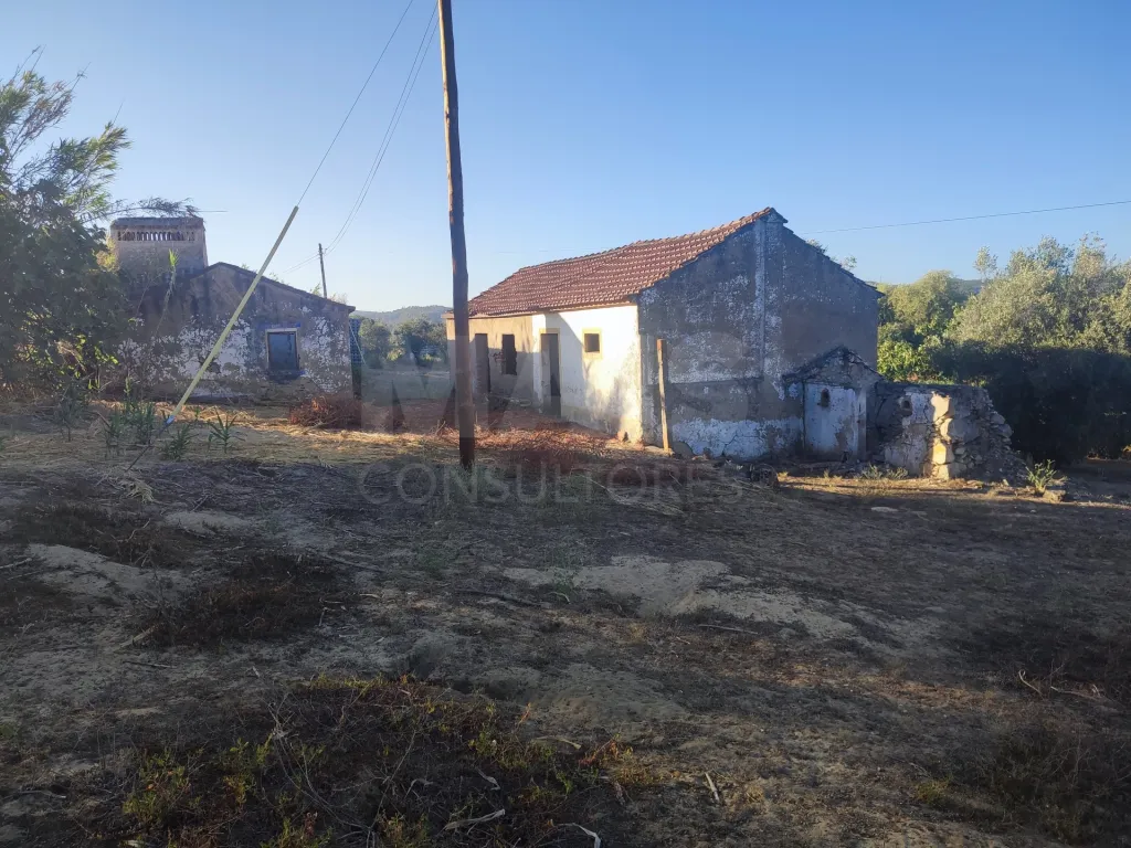 Quinta com moradia para recuperar na zona de Abrantes
