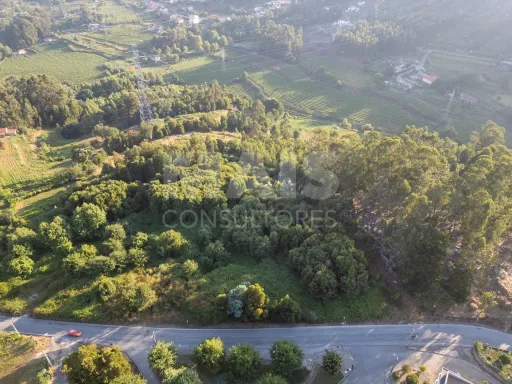 Grande Terreno em Penafiel (14.170 m²)