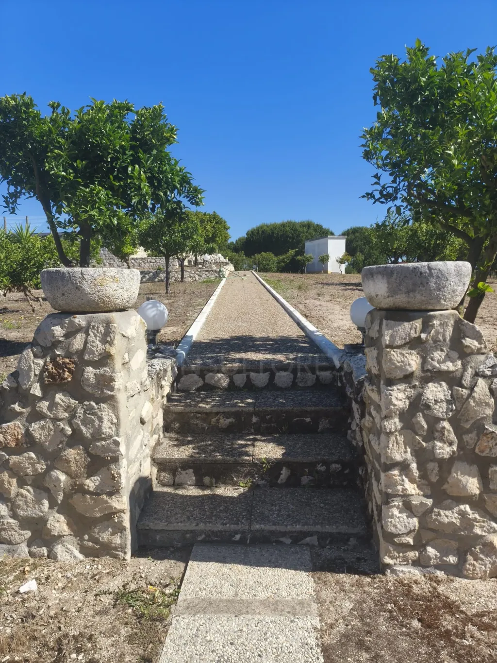 Propriedade com Piscina e Instalações Equestres – Um Refúgio Tranquilo com Potencial de Expansão