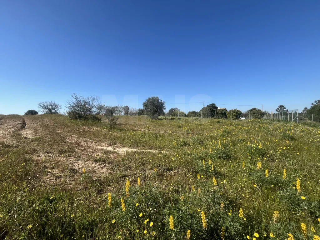 Land 12000m2 in Foros da Charneca