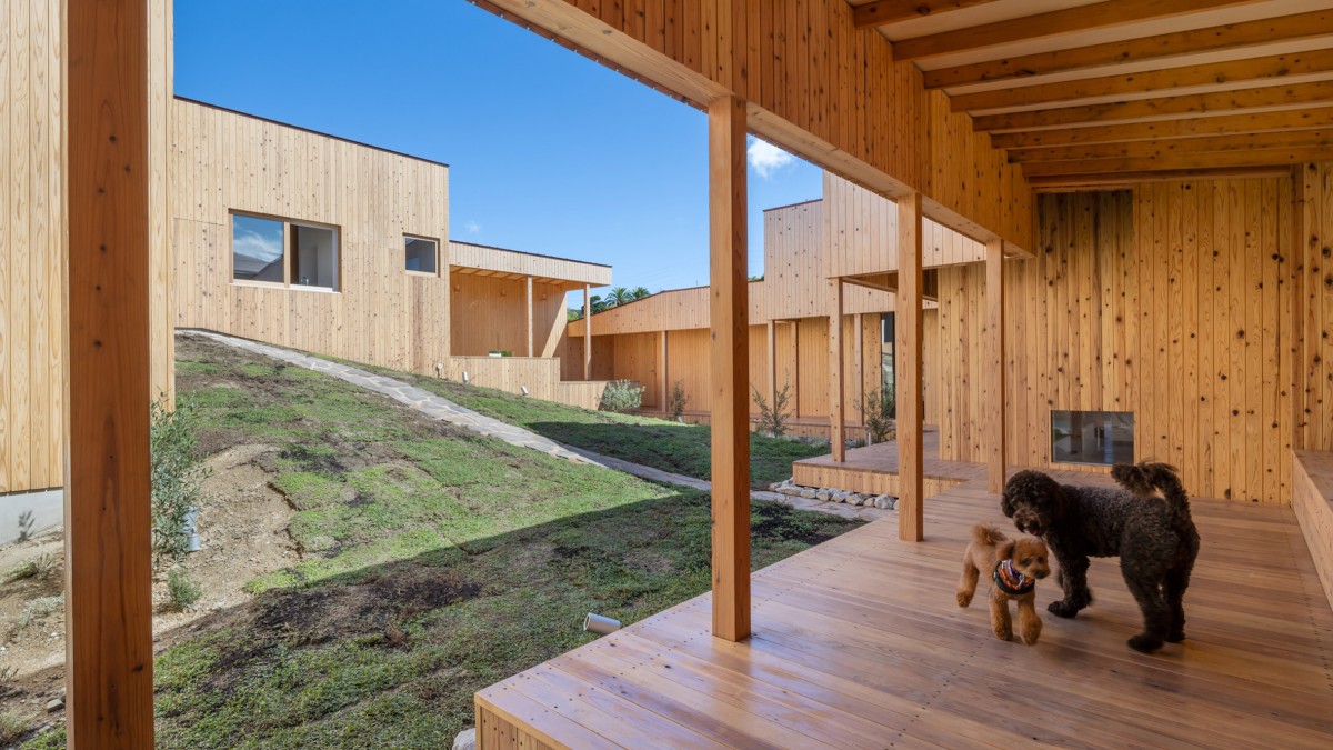 Casas Amigas dos Animais: Conheça a Villa Necklace, o Paraíso Arquitetônico para Humanos e Patudos!