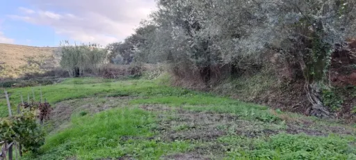 Refúgio perfeito a 15 minutos de Lisboa - Quinta em Loures - Lousa.