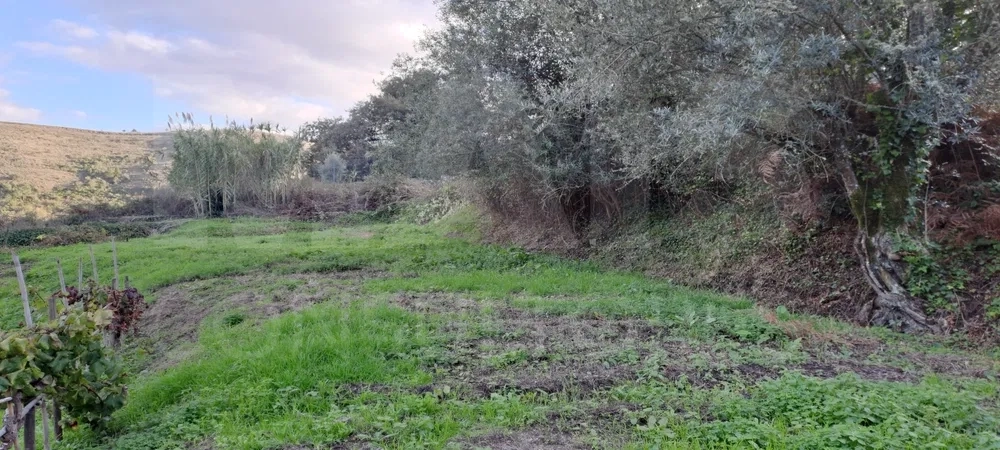 Refúgio perfeito a 15 minutos de Lisboa - Quinta em Loures - Lousa.