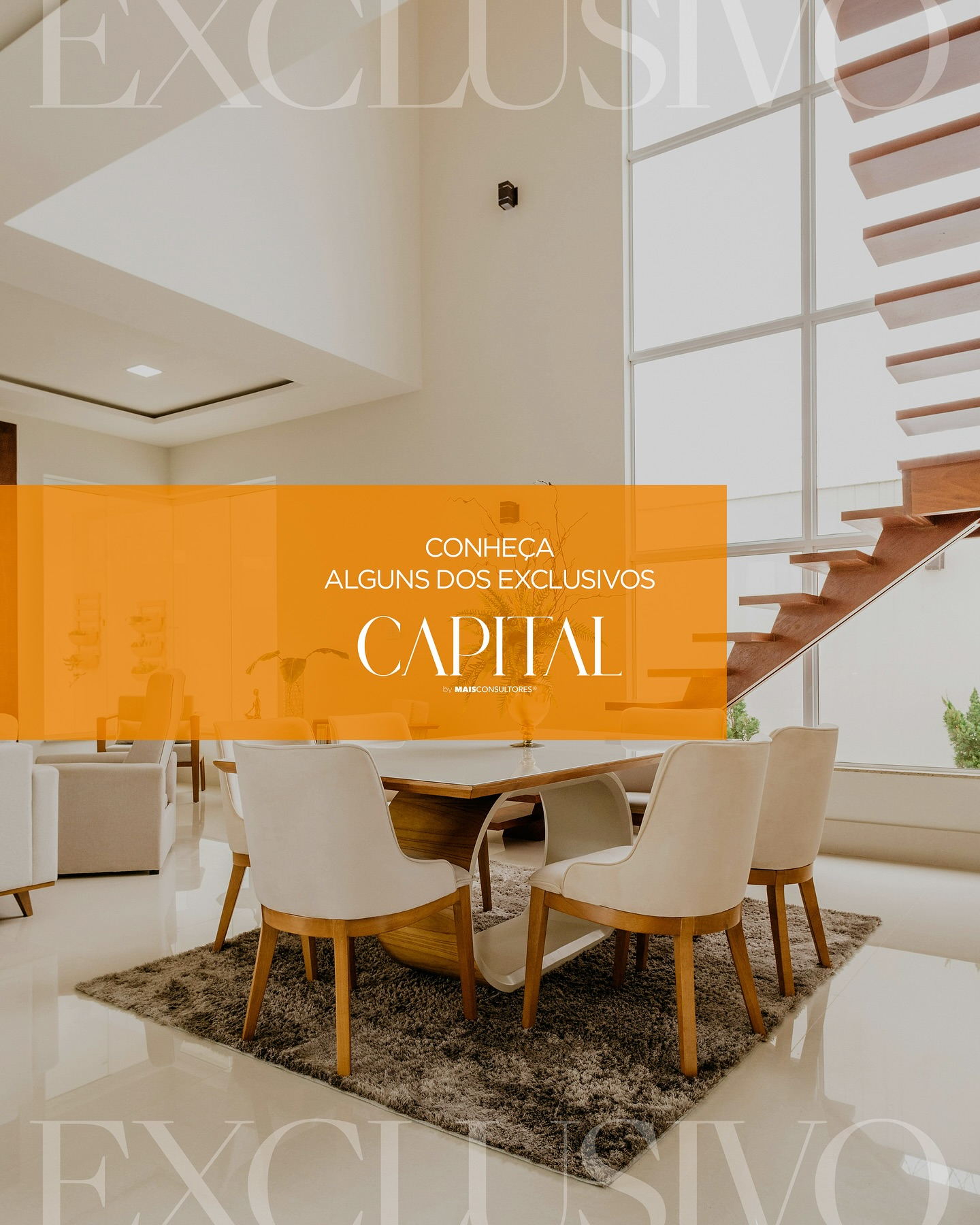 Conheça alguns exclusivos Capital!