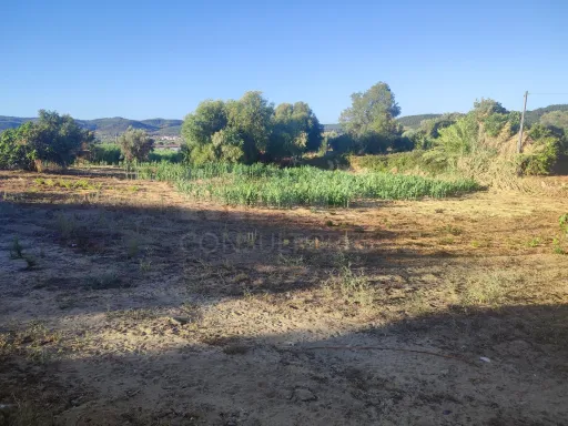 Quinta com moradia para recuperar na zona de Abrantes