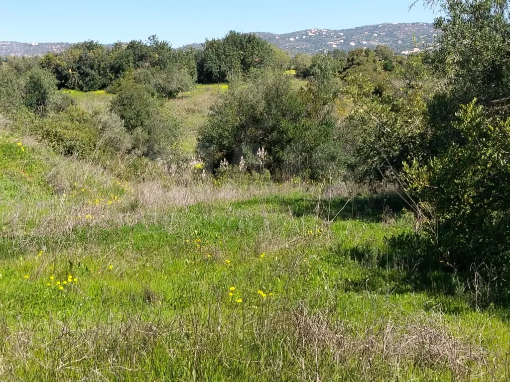 Lote de Terreno Rustico