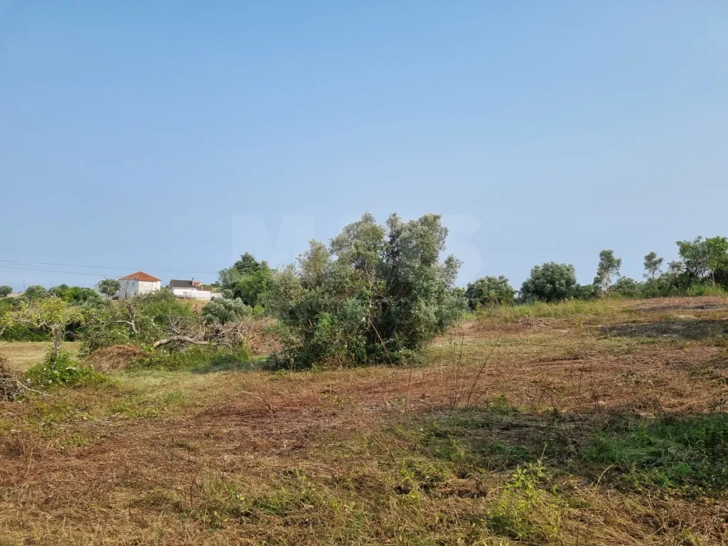 Terreno Misto com Ruina em TORRES NOVAS