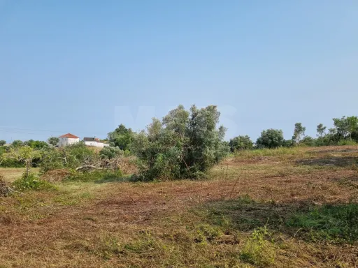 Terreno Misto com Ruina em TORRES NOVAS