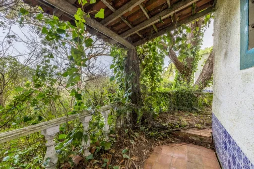 Refúgio Exclusivo na Foz do Arelho: Uma Oportunidade Única de Preservação e Natureza