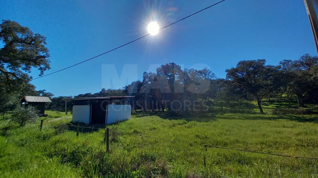 Herdade de 30 hectares em Cercal do Alentejo, Santiago do Cacém, Setúbal