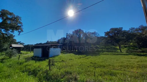 Herdade de 30 hectares em Cercal do Alentejo, Santiago do Cacém, Setúbal