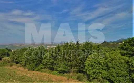 Terreno para Construção  Quinta da Tapada em Colares, Sintra
