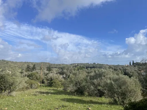 Monte Alentejano com 16Hectares e Casa de 180 m² para Recuperar