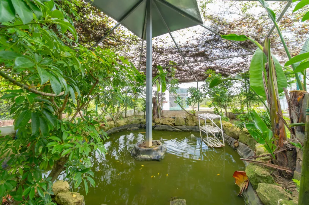 Moradia T4 com Piscina, Excelente Espaço Exterior em Carnota - Alenquer