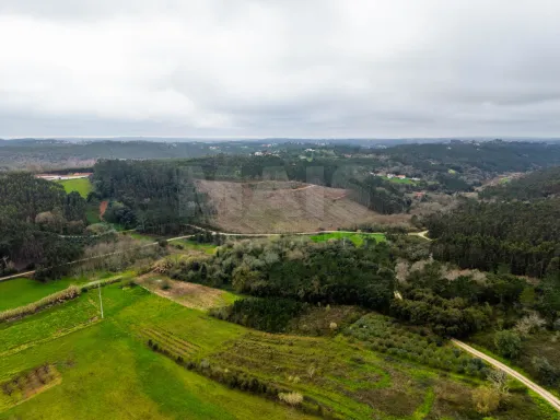 Ruína para remodelação total
