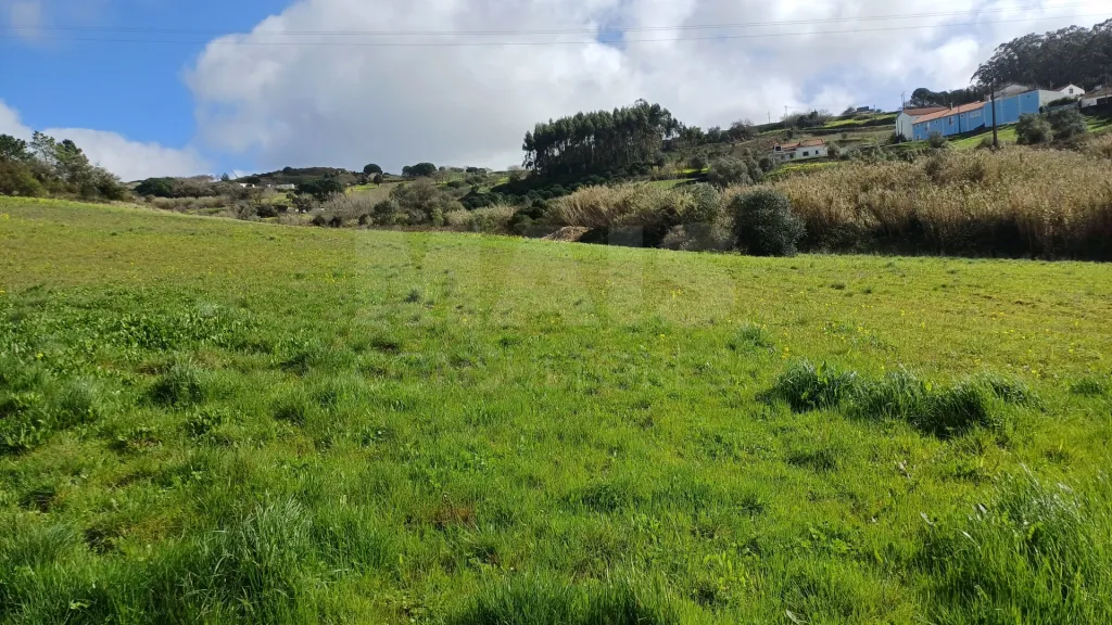 Terreno rustico 40560m2 em Sapataria