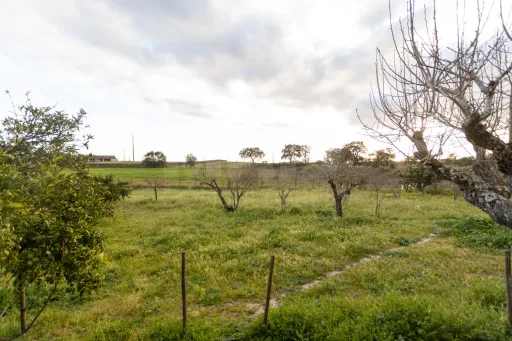 Moradia Térrea V3 com terreno urbano de 3780m2 no Alentejo