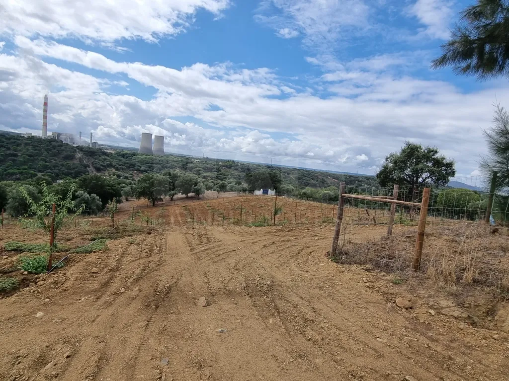 QUINTA, em  Casas Novas  - MOURISCAS -ABRANTES