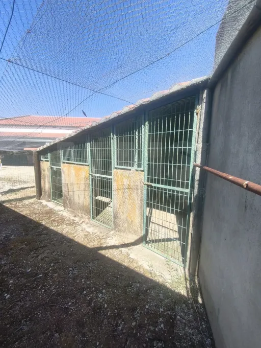 Propriedade com Piscina e Instalações Equestres – Um Refúgio Tranquilo com Potencial de Expansão