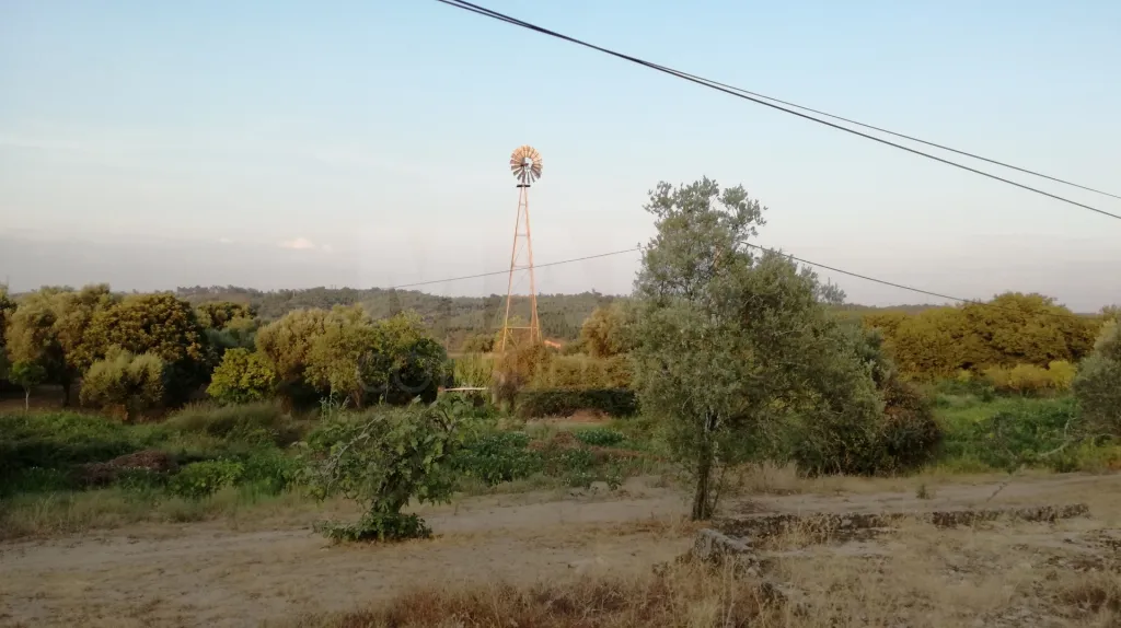 Quinta com moradia para recuperar na zona de Abrantes