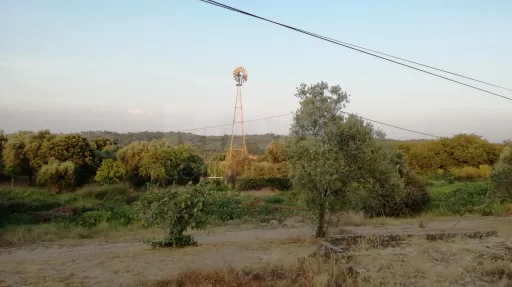 Quinta com moradia para recuperar na zona de Abrantes