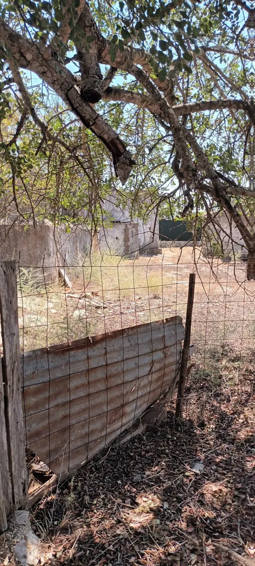 Terreno urbano com ruina / rustico