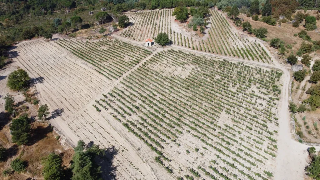 Herdade / Quinta com 25–27 ha, vinha em produção, olival e piscina – Serra da Estrela, Gouveia
