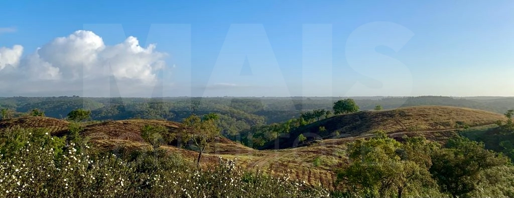 Herdade com 52,45 hectares em São Bartolomeu da Serra, Santiago do Cacém