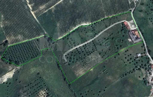 Quintinha com 6,2 Hectares, Água Abundante e 902 m² de Construção em Torres Novas