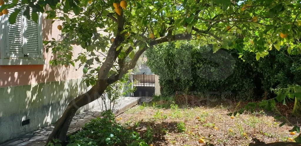 Moradia V 4 + Armazém + Casa Térrea de 45m2 em CASAIS ROMEIROS Santarém