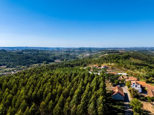 Terreno com projecto aprovado