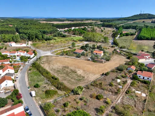 Terrano de 7.024 m2 com Potencial de Loteamento | Alcoentre