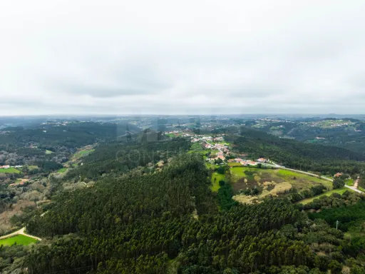Ruína para remodelação total