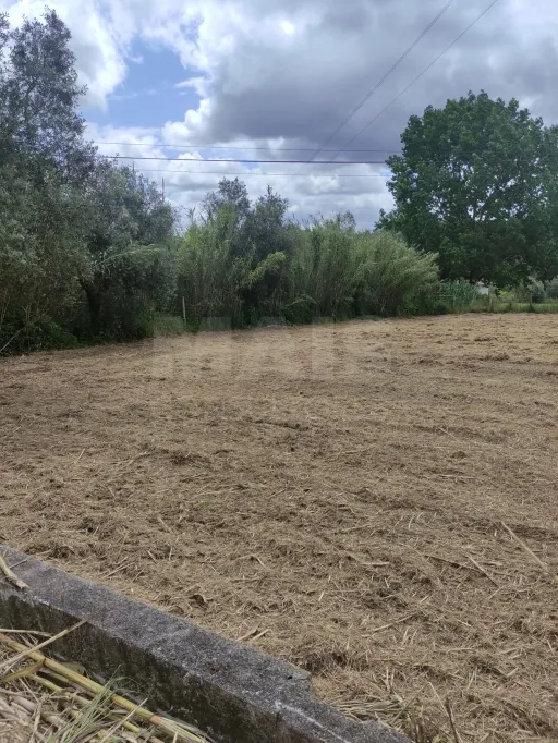Lote de Terreno em Leiria