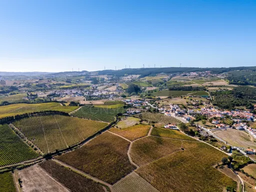 Allotment with 135 homes