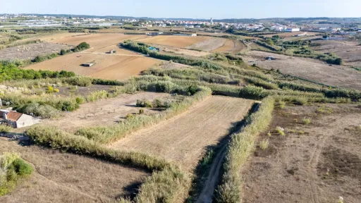Terreno Rústico com 3.600 m² em Atouguia da Baleia