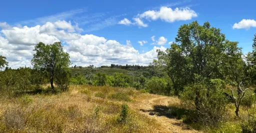 Herdade com 11,6 hectares em São Bartolomeu da Serra, Santiago do Cacém