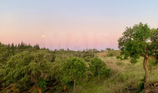 Herdade  com 40,85 hectares em São Bartolomeu da Serra, Santiago do Cacém