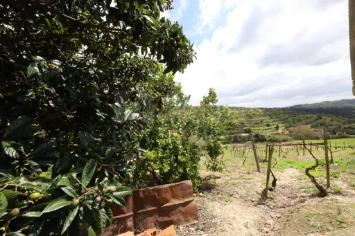 Casa de habitação e terreno Meca- Alenquer