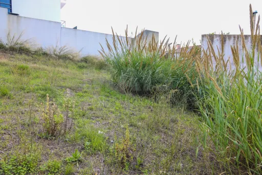 Lote Urbano na Apelação para Moradia.