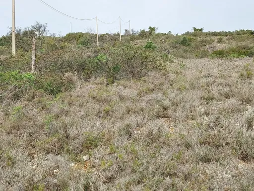 Bonito lote de terreno Rustico