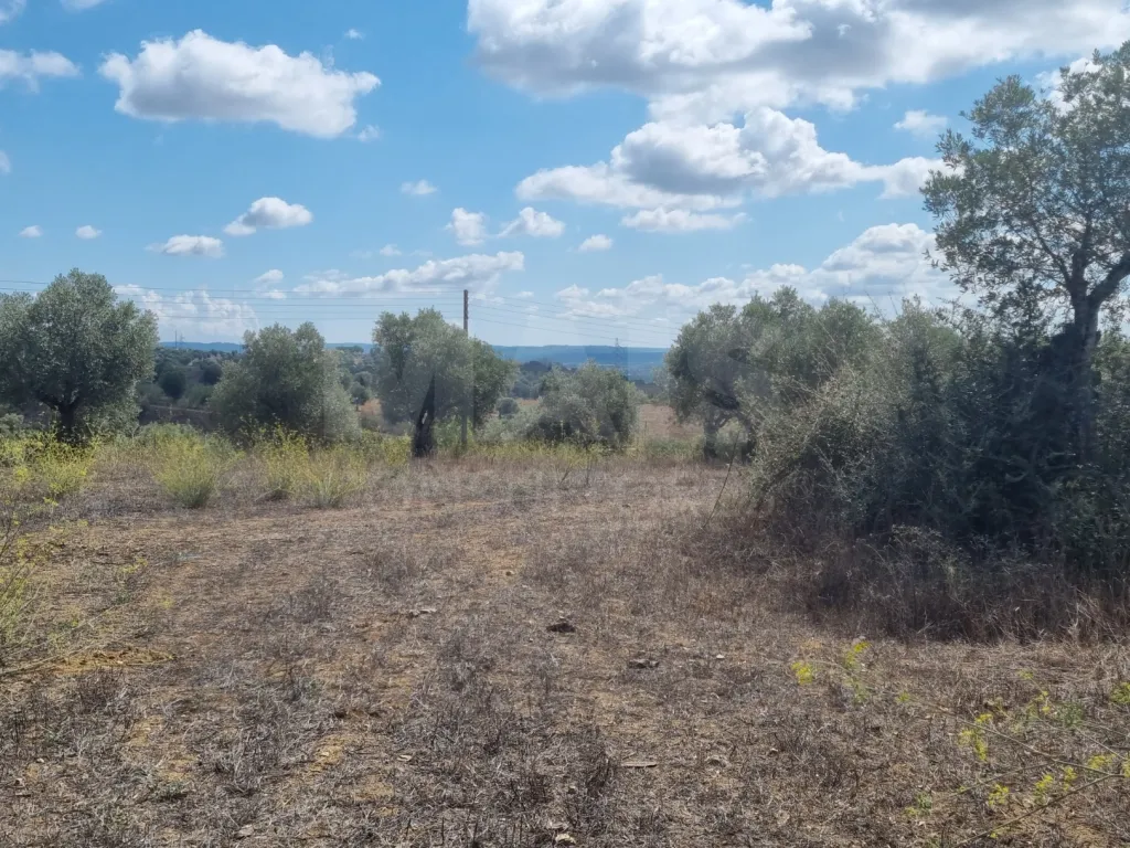 Terreno Rustico CASALINHO -MOURISCAS