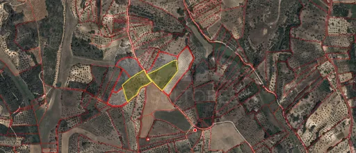 Terreno Rustico  Pedrogão TORRES NOVAS