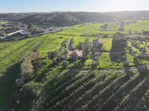 Moradia T2+1 c/ Anexo & Armazém em Lote de 7.600m2
