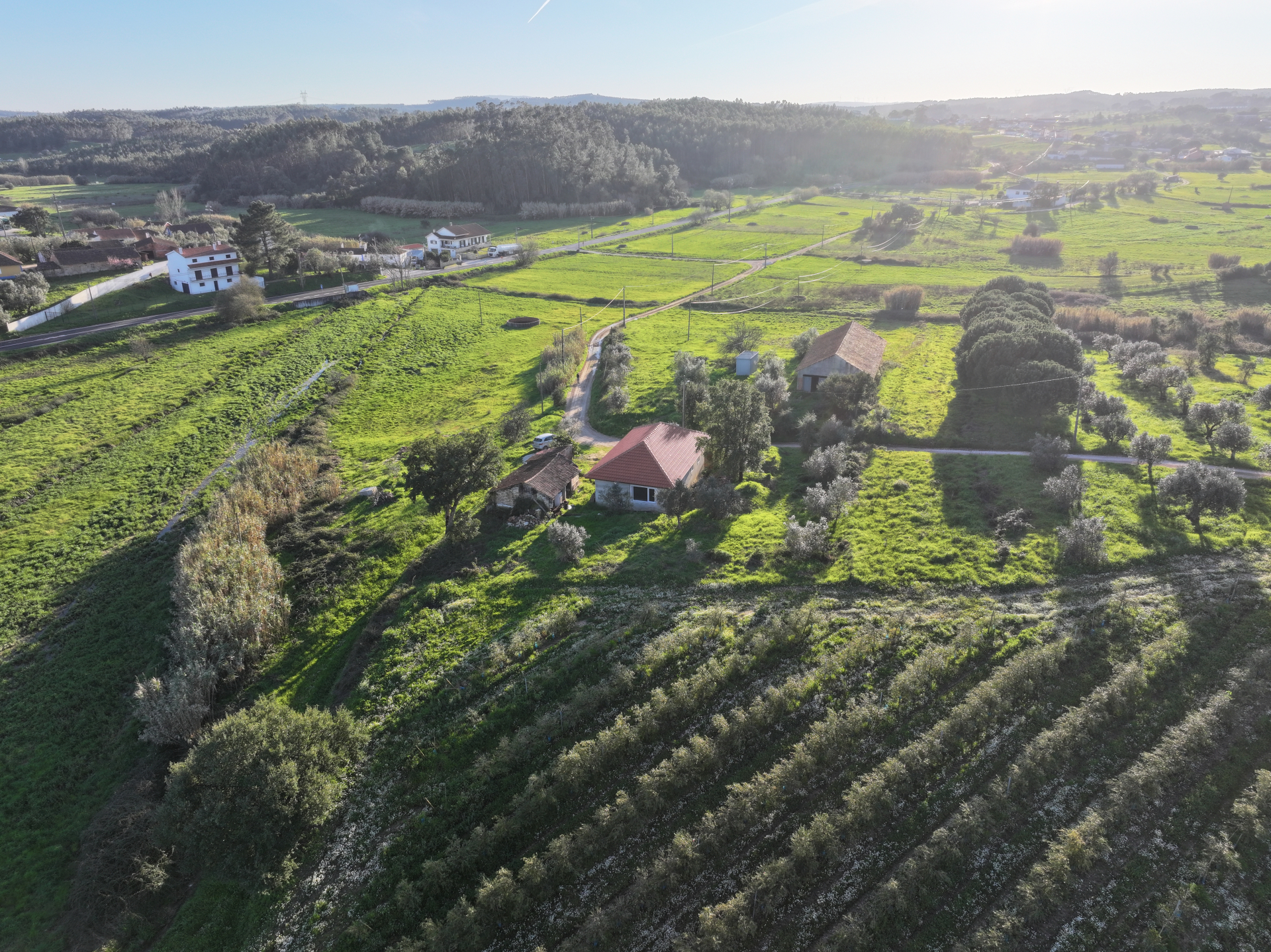 Moradia T2+1 c/ Anexo & Armazém em Lote de 7.600m2