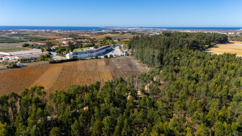 Parcela de terreno rústico de 2.350m2 em Atouguia da Baleia