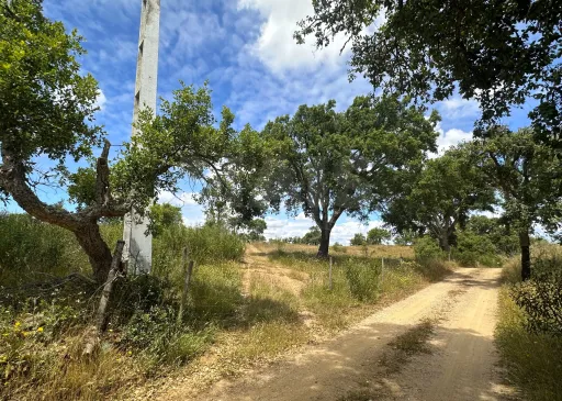Herdade com 11,6 hectares em São Bartolomeu da Serra, Santiago do Cacém